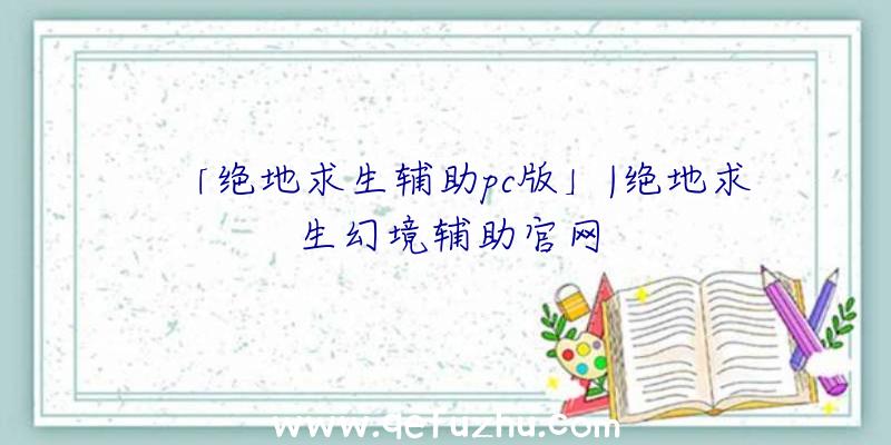 「绝地求生辅助pc版」|绝地求生幻境辅助官网